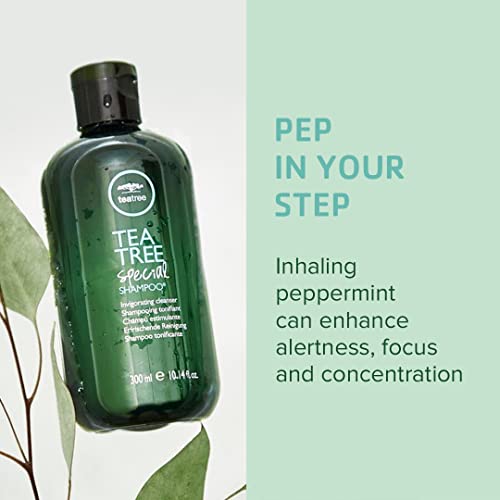 Tea Tree Special Shampoo, Deep Cleans, Refreshes Scalp, For All Hair Types, Especially Oily Hair